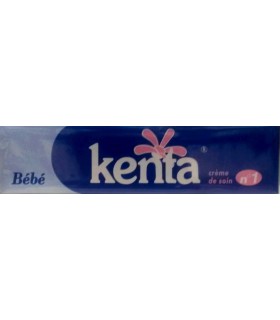 POMMADE DERMIQUE 90G